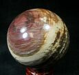 Colorful Petrified Wood Sphere #20612-1